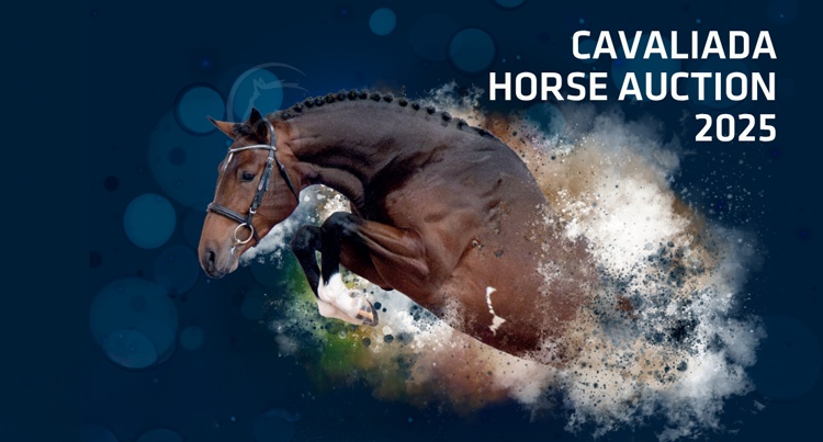 Cavaliada Horse Auction 2025