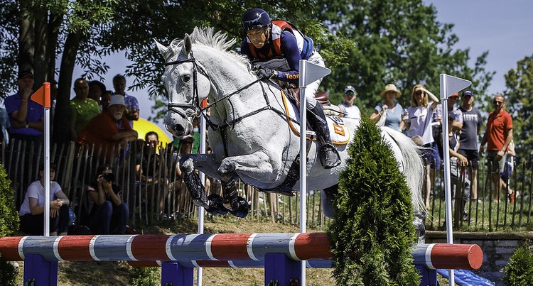 Tim Lips (NED) & Bayro (Casantos x Corland) podczas FEI Eventing Nations Cup w Strzegomiu (2019), fot. FEI/Libby Law Photography