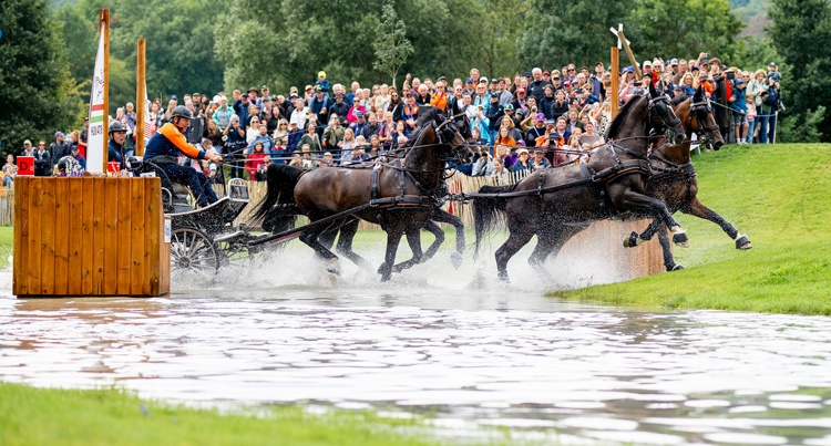 FEI Driving World Championships Aachen 2026 Ijsbrand Chardon (NED), fot FEI/Benjamin Clark