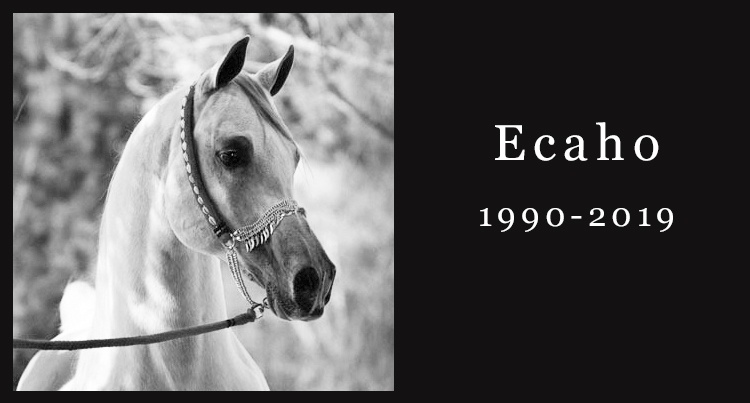 In memoriam: Ecaho
