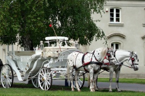 bryczka