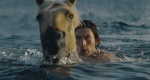 Adam Driver i piękny koń w reklamie perfum Burberry Hero