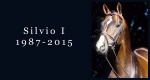 In memoriam: Silvio I (Sandro x Gepard)