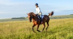 Innowacyjne czapraki firmy HRP Equestrian