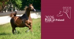 Pride of Poland & Summer Sale 2026: Katalog oferowanych koni