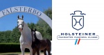 Foal Auction Falsterbo 2022: Debiut holsztynów na Falsterbo Horse Show