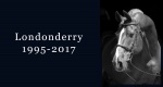 In memoriam: Londonderry