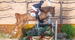 SLF Horse Auction 2023: Harrie Smolders powraca z kolejną odsłoną aukcji koni