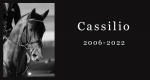 In memoriam: Cassilio