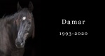 In memoriam: Damar