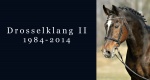 1984-2014 Drosselklang II