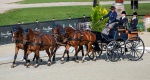 Baborówko Equestrian gospodarzem Mistrzostw Europy Zaprzęgów Czterokonnych 2027!