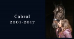 In memoriam: Cabral