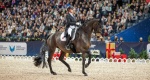 Sweden International Horse Show 2022: Von Bredow-Werndl zwyciężczynią Lövsta Top 10 Dressage