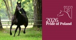 Wyniki aukcji Pride of Poland 2026