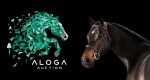 Aloga Auction 2022: Ponad 3 mln euro dochodu