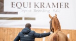 TC & Equi Kramer Online Auction 2022: Wyjątkowa stawka koni! 