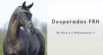 Niezwykłe konie: Desperados FRH
