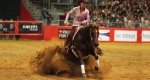 Equita Lyon 2014: 23 Quarter Horses podbijają Francję
