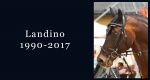 In memoriam: Landino