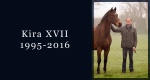 In memoriam: Kira XVII
