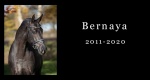  In memoriam: Bernay