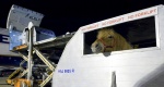 Horse Inn, Liege - nowy terminal lotniczy dla koni!