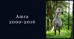 In memoriam: Amra
