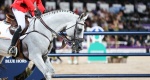 Najlepsze polskie konie wg nowych rankingów WBFSH