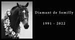Niezwykłe konie: Diamant de Semilly