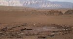Śmierć niemal 200 mustangów w Arizonie