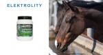 Suplementy diety: Elektrolity dla koni