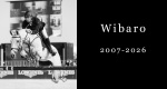 In memoriam: Wibaro (Bajou Du Rouet x Graf Quidam)