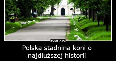 Polska stadnina koni o najdłuższej historii to Stadnina Koni w Janowie Podlaskim założona w 1817 roku i działająca do dziś!
